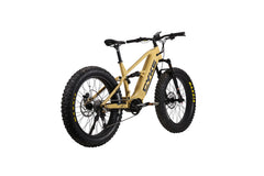 Falcon X - Super Bike - 1100 watt