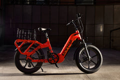 Collie Cargo Bike - 750 watt