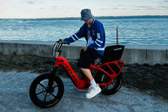 Collie Cargo Bike - 750 watt
