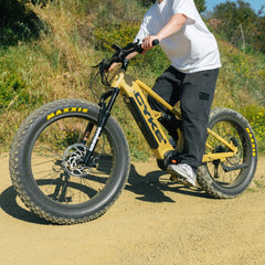 Falcon X - Super Bike - 1100 watt