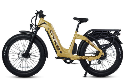 Lynx Commuter Steet Bike- 750 watt