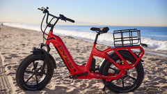 Collie Cargo Bike - 750 watt