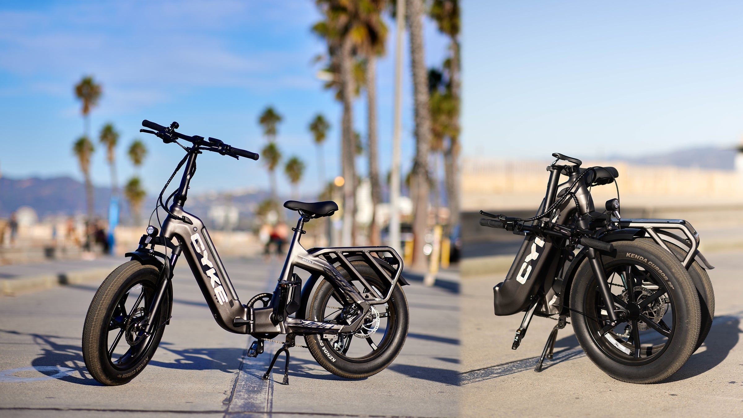 Grizzly Foldable Ebike - 750 watts