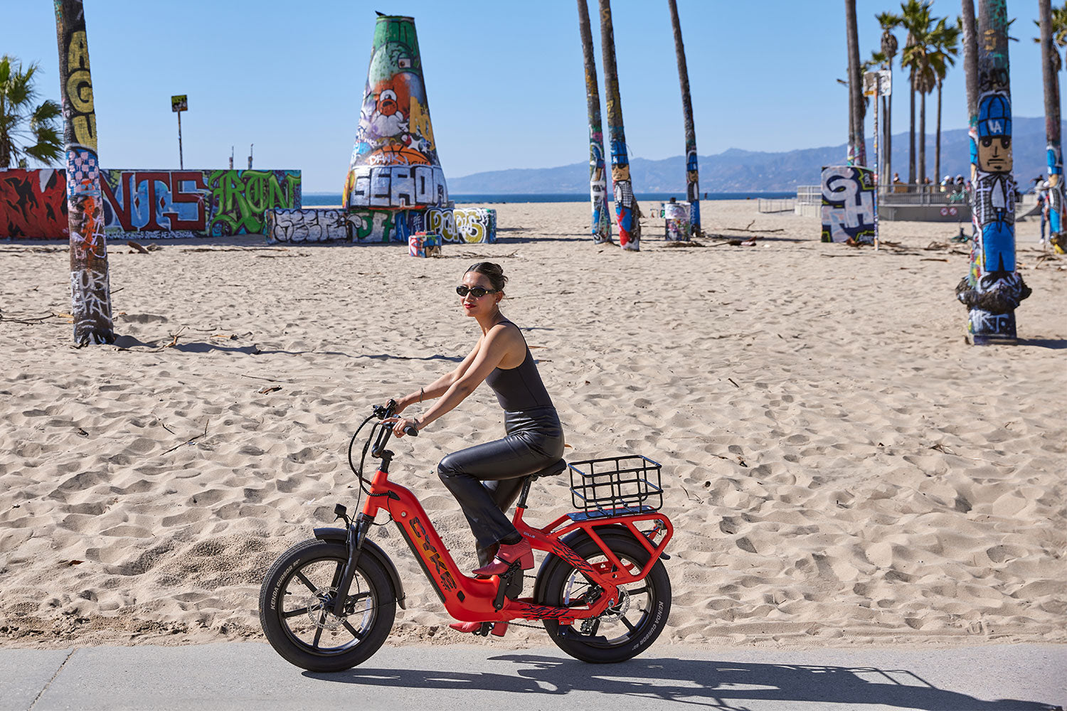Collie Cargo Bike - 750 watt