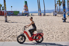 Collie Cargo Bike - 750 watt