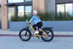 Lynx Commuter Steet Bike- 750 watt