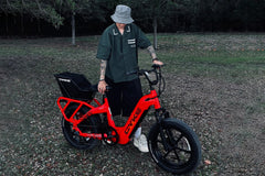 Collie Cargo Bike - 750 watt