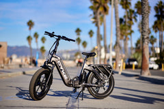 Grizzly Foldable Ebike - 750 watts
